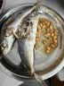 省级非遗传承人潮汕巴郎鱼潮汕特产巴浪鱼饭海鲜即食 巴浪鱼饭三斤 实拍图
