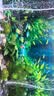 长锐鱼缸客厅大型造景生态超白玻璃家用办公室免换水水族箱 【超白65cm长鱼缸】送货上门免安装 实拍图