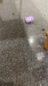 舒客牙膏京东自营茶香茉莉白牙神器去黄金榜成人酵素美白清新口气120g 实拍图