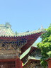尼康（Nikon）D7500 18-140mm f/3.5-5.6G ED VR 江苏广东上海北京广西地址85折 单反套机 入门级单反 实拍图