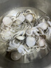 美加佳三去小章鱼净重2斤（500g*2袋）16-26只 去脏八爪鱼 聚餐 实拍图
