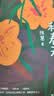人间词话 王国维 中国文学名家作品 诗词歌曲 原文赏析国风插图中文注释 名家阅读 新华书店正版 实拍图