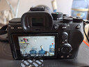 索尼（SONY）Alpha 7 IV 全画幅微单相机 创意外观滤镜+ SEL24105G 一镜走天下超值套装 4K视频 实拍图