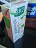 豆本豆芭乐茉莉豆奶250ml*20盒植物蛋白饮料儿童营养学生早餐奶礼盒批发 实拍图