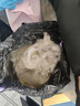 海尔（Haier）吸尘器家用吸尘有线随手吸手持推杆拖地除尘机大吸力大功率轻机身擦地吸拖一体机HZ-SQ1 实拍图