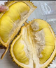 京鲜生【预售】进口金枕巴掌榴莲2个装净重4.5-5.5斤单果2-3斤源头直发 实拍图