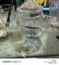 乐唯诗 玻璃杯家用牛奶杯果汁杯高颜值水杯简约茶杯饮料杯子 祥云瑞气【茶饮杯】350ml1只 实拍图