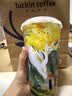 威露士la有氧洗衣液松木香3L/瓶 除菌除螨去污渍留香机洗快洗手洗 实拍图