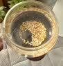 养益君柏子仁60g 新货正宗柏子仁籽白子仁搭柏子仁中药材助眠泡水喝 实拍图