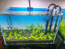 YEE鱼缸金晶超白金鱼裸缸8060家用客厅桌面小草缸龟缸玻璃生态溪流缸 40*23*25*5mm裸缸 实拍图