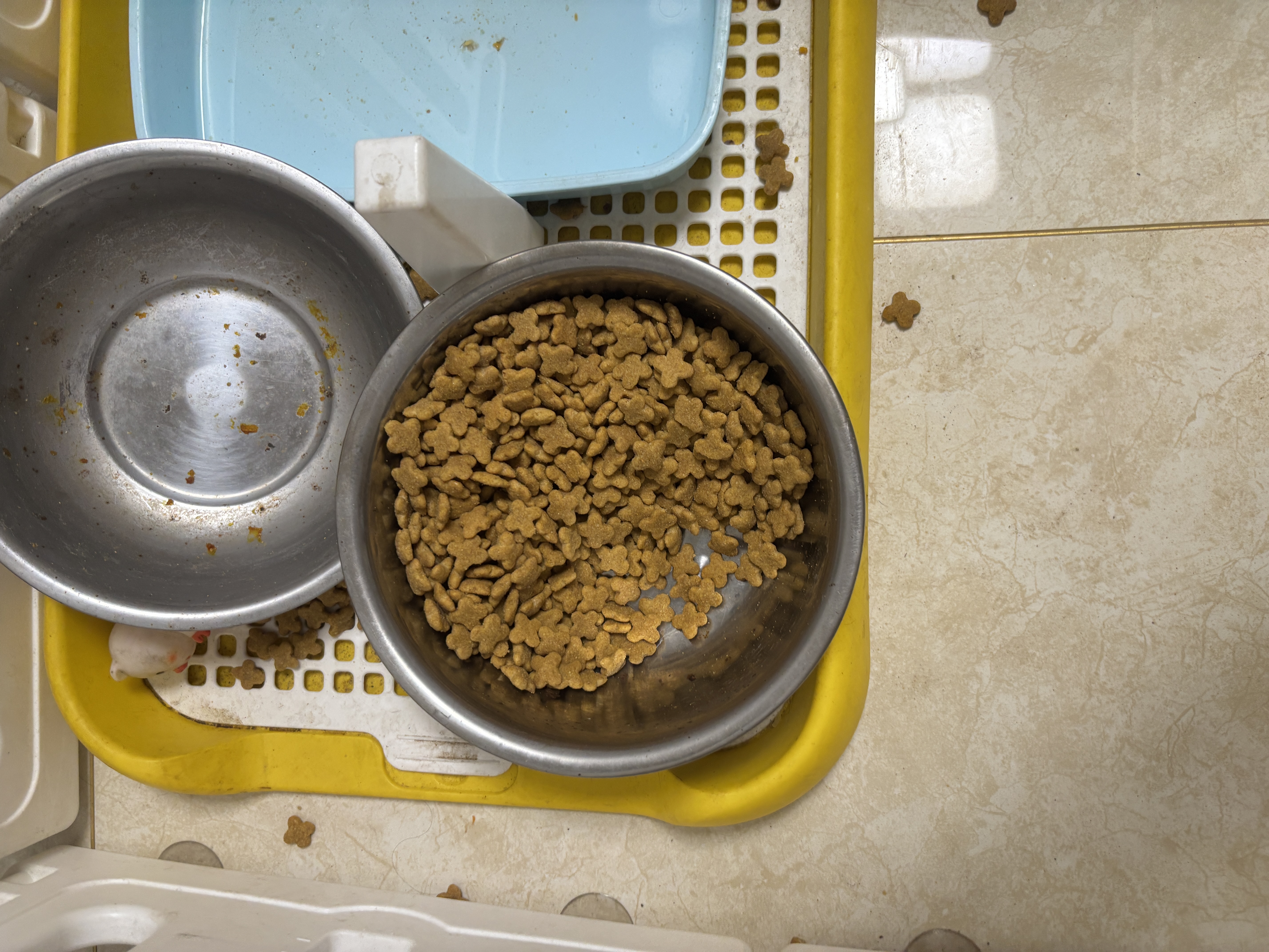 宝路狗粮全犬种通用老年犬狗粮全价粮 牛肉味1.8kg*2 实拍图