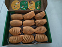 佳沛（zespri）新西兰 阳光金奇异果12粒特大果单果124-146g 猕猴桃水果礼盒 实拍图