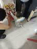美素佳儿（Friso）皇家较大婴儿配方奶粉2段（6-12个月） 800克*6罐 乳铁蛋白 实拍图