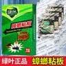 绿叶蟑螂粘板捕捉蟑螂器蟑螂贴粘板纸家用灭蟑螂 20片一盒装 实拍图