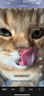 好主人（CARE）金装好主人猫粮无谷猫粮全价成猫通用80%含肉量10kg【宠物金选】 实拍图