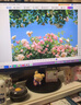 优派23.8英寸 原生120Hz超频144Hz IPS 400nit高亮 硬件低蓝光 1级能效 电脑办公电竞显示器VA24G25 实拍图