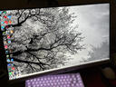 华硕ROG XG27ACMEG-W 27英寸显示器2K电竞显示器2K 240Hz超频260Hz HDR400 G-Sync 0.3ms响应 HDMI 2.1 实拍图