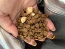 醇粹优鲜高鲜肉猫粮10斤全价冻干成猫幼猫鲜鸡鸭肉增肥长肉肠胃粮5kg 实拍图