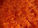 盖世调味秘鲁飞鱼子100g/盒 清甜大颗粒飞鱼籽酱寿司食材鱼子酱 实拍图