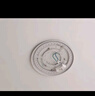 雷士（NVC）LED灯盘吸顶灯替换灯芯灯板磁吸光源模组环形灯管62瓦白光6500K 实拍图