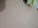 佳沛（zespri）新西兰 阳光金奇异果12粒特大果单果124-146g 猕猴桃水果礼盒 实拍图