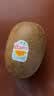 佳沛（zespri）新西兰 阳光金奇异果12粒特大果单果124-146g 猕猴桃水果礼盒 实拍图