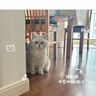 猫人6条装女士内裤女10A石墨烯抑菌裆中腰无痕舒适透气棉少女内裤L 实拍图