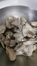 正大琵琶腿切块2斤 冷冻鸡腿肉切块 琵琶腿卤煮低脂轻食早餐 实拍图