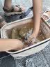 鲜京采南海金鲳鱼净重2斤/3条装BAP认证海鲜真空纯鱼肉【京东自有品牌】 实拍图