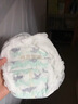 碧芭宝贝盛夏光年Pro拉拉裤XXL码28片(≥15kg)学步裤尿不湿夏天超薄透气 实拍图