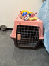 喵先生【带挂碗+垫板】宠物航空箱大号狗猫托运箱猫咪狗狗航空箱运输箱 二号 建议25斤以内 实拍图