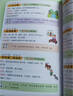 课本里的必背成语 小学一二三四五六年级同步语文必背常考高频成语速查速记考点趣味漫画成语词典积累大全 实拍图