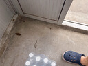 雨虹防水 堵漏王 水不漏 快干水泥 堵漏宝塑钢泥 地漏安装 管根堵漏 4KG 实拍图