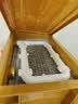 宠翰鱼缸8D过滤棉无胶生化棉加厚海绵水族箱过滤网过滤材料1片装 实拍图