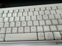 罗技（Logitech）MK251无线蓝牙键盘鼠标套装 办公商务笔记本电脑 数字键盘99键粉色键鼠套装（K251键盘+M196鼠标） 实拍图