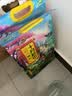 十月稻田 糯米 5斤 新米 东北圆粒糯米 五谷杂粮米 包粽子糯米粉 酿米酒 实拍图