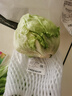 球生菜400g 实拍图