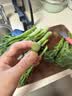 绿食者 甜杆西兰苔 新鲜蔬菜芦笋西兰花时令蔬菜清甜脆嫩西餐食材 500g 实拍图