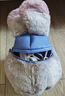 迪士尼（Disney）疯狂动物城朱迪斜挎包可爱毛绒玩偶包生日七夕情人节礼物送男女生 实拍图
