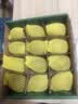 佳沛（zespri）新西兰 阳光金奇异果12粒特大果单果124-146g 猕猴桃水果礼盒 实拍图