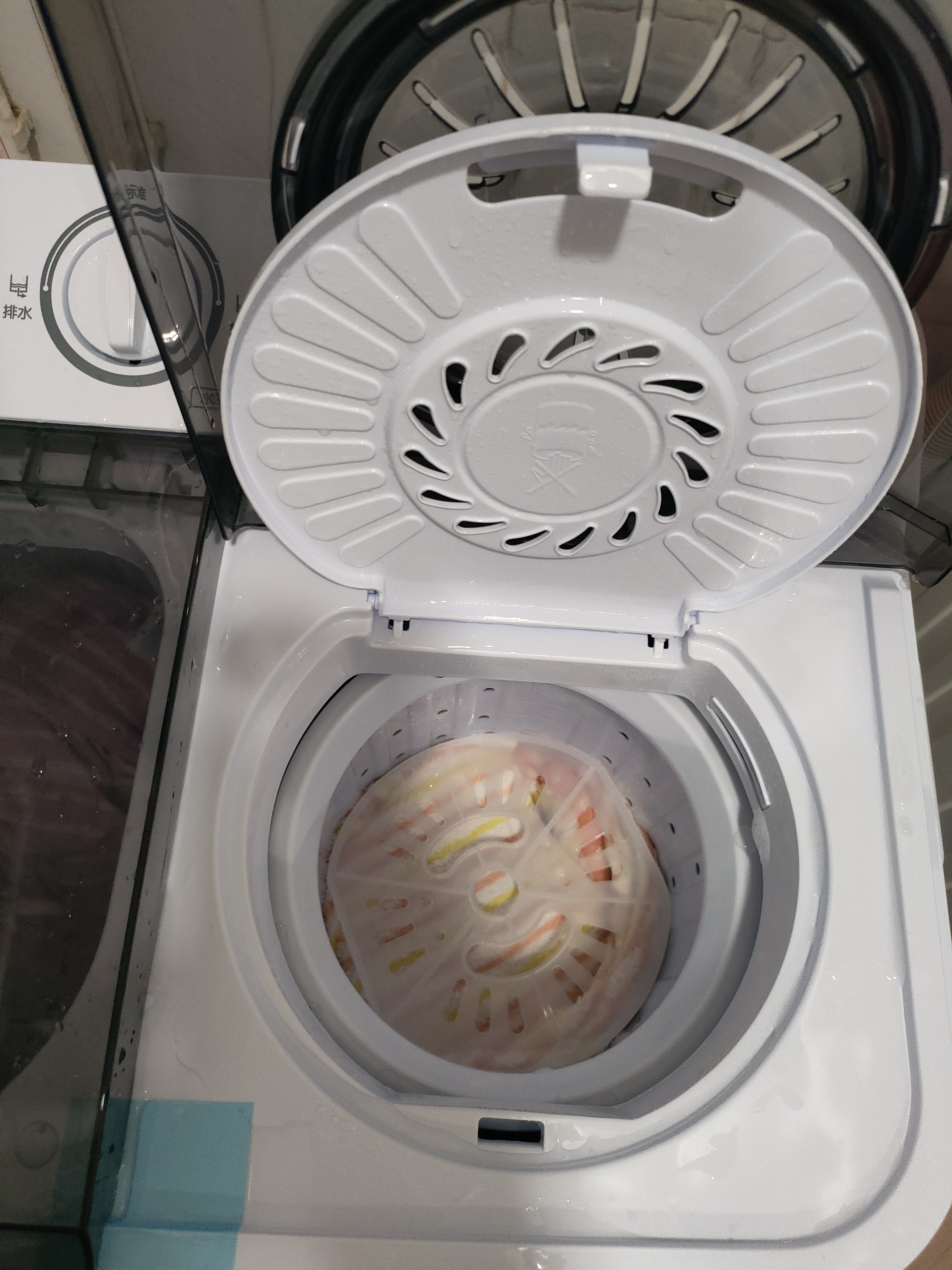 小鸭【官方店】半自动洗衣机迷你小型波轮大容量租房宿舍家用双桶双缸分区脱水甩干老式强力去污 8.5KG  洗5.5+脱3.0+强劲电机终身联保 双缸 实拍图
