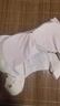 FitonTon2件装女士内衣女无痕提拉聚拢无钢圈文胸罩运动美背内衣夏季薄款 实拍图