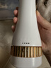 HELLOJOY宠物吹风机吹水机泰迪比熊卷毛犬狗狗拉毛吹梳一体神器用品 实拍图