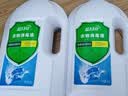 蓝月亮香氛衣物消毒液 松木清香 2kg*3瓶 杀菌率99.999% 内衣裤消毒除螨 实拍图