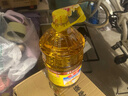 鲁花 食用油 物理压榨 葵花仁油6.18L  实拍图