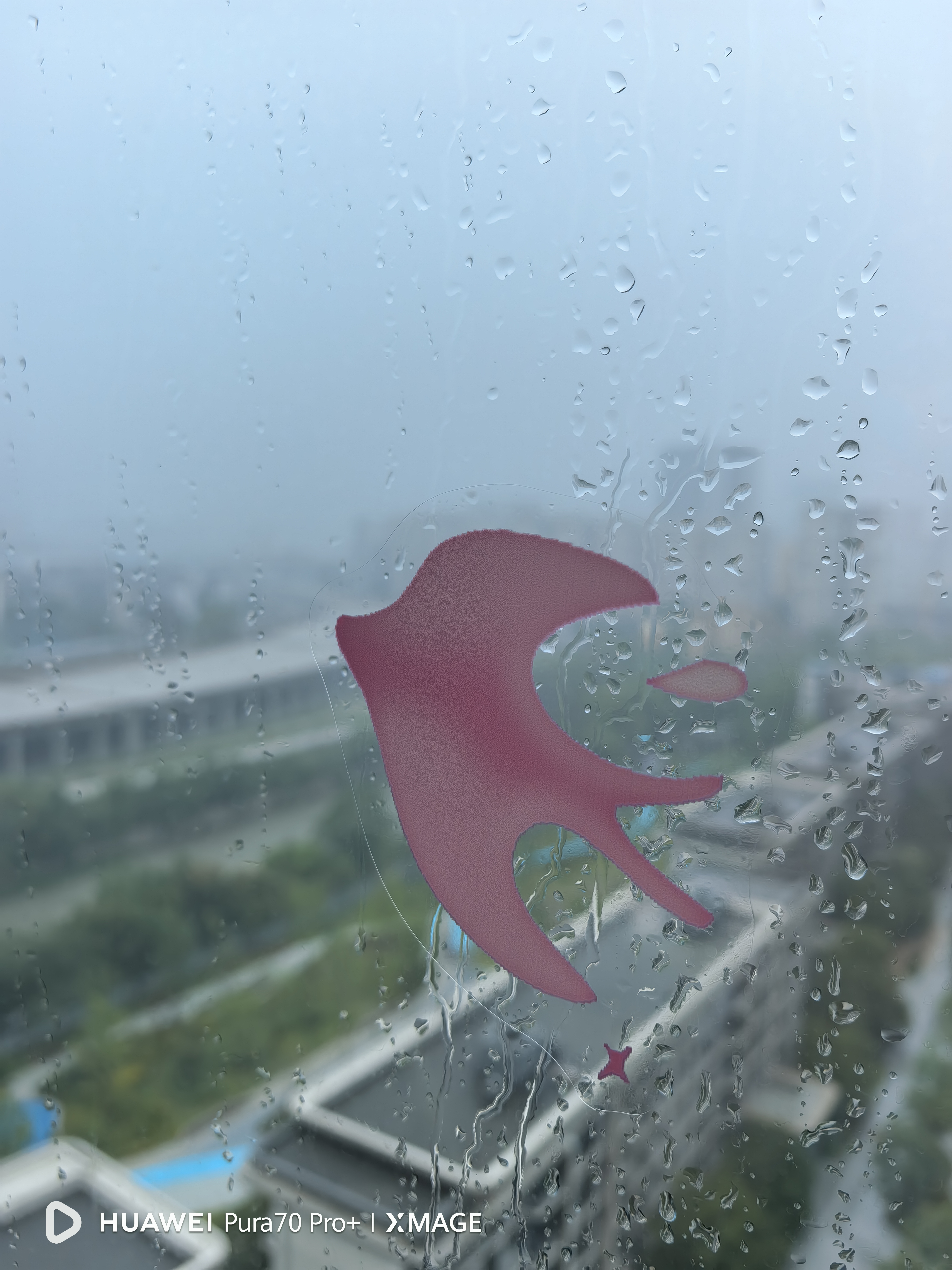 希偌ins窗户玻璃贴纸客厅餐厅推拉门防撞头线条厨房防水静电装饰贴膜 实拍图