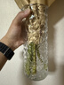 金隆兴轻奢玻璃透明花瓶大口径摆件客厅插花艺术水培水养玫瑰郁金香 实拍图