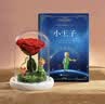 RoseBox七夕情人节生日礼物永生花小王子玫瑰花结婚纪念送女生朋友高级 实拍图