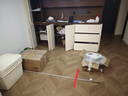 一只鱼袜子男士10A级抗菌防臭春夏季运动袜短筒短袜休闲棉袜 实拍图