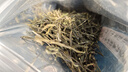 蓝焙2026年新茶绿茶恩施玉露蒸青工艺 滋味鲜爽甘醇冷泡 50g袋装自饮 实拍图